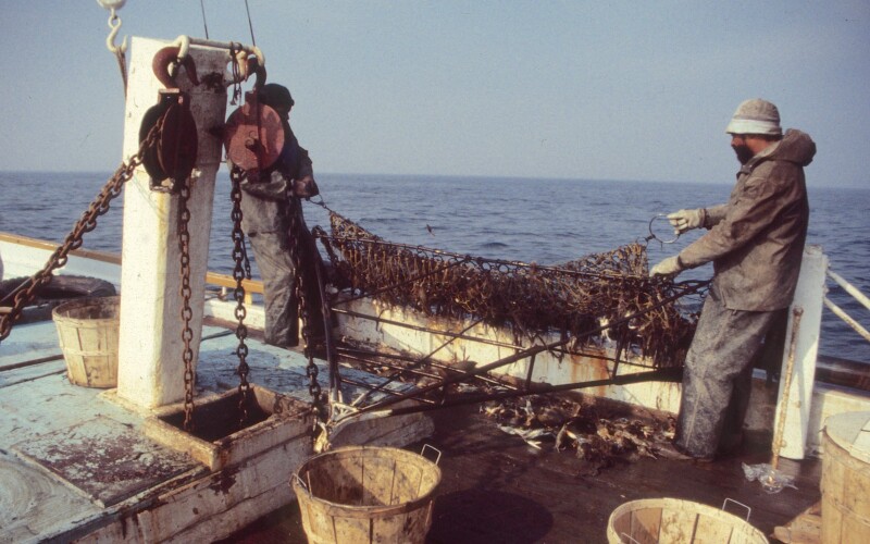 Virginia reconsiders winter crab dredge fishery, closed since 2008